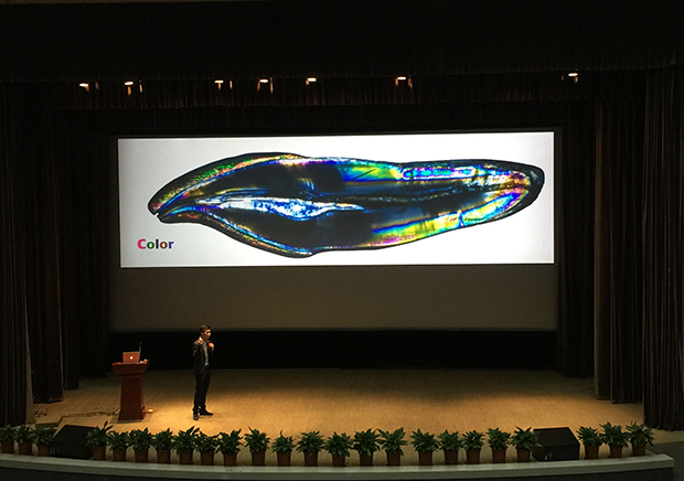 諾億租賃全程助力——上海灘美學盛宴